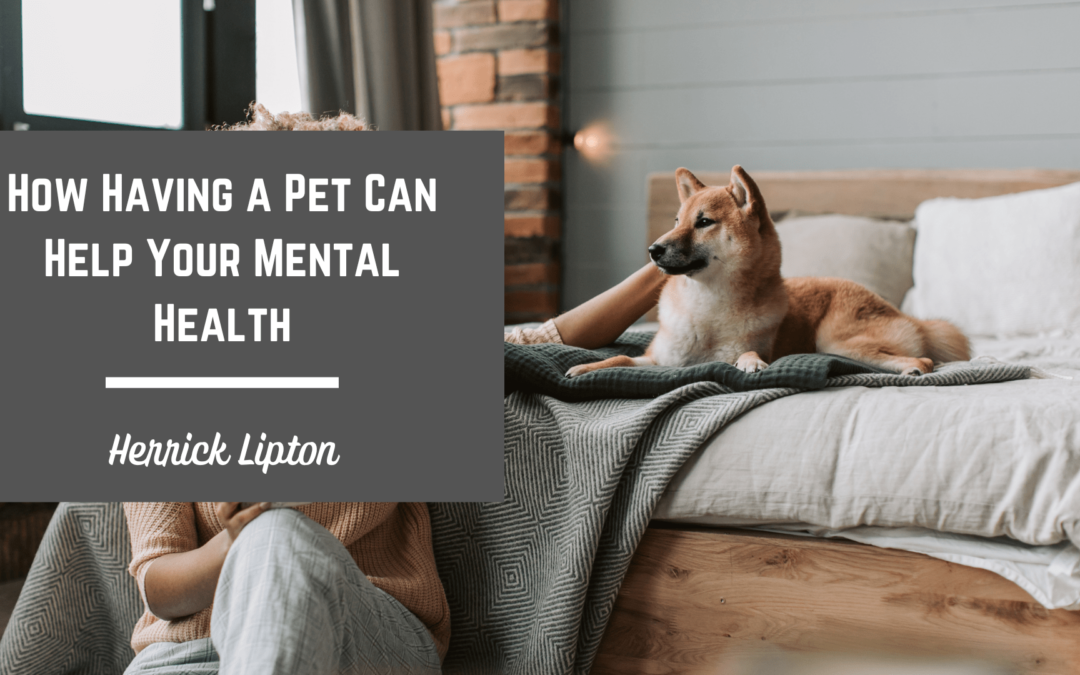 Herrick Lipton How Having a Pet Can Help Your Mental Health-min
