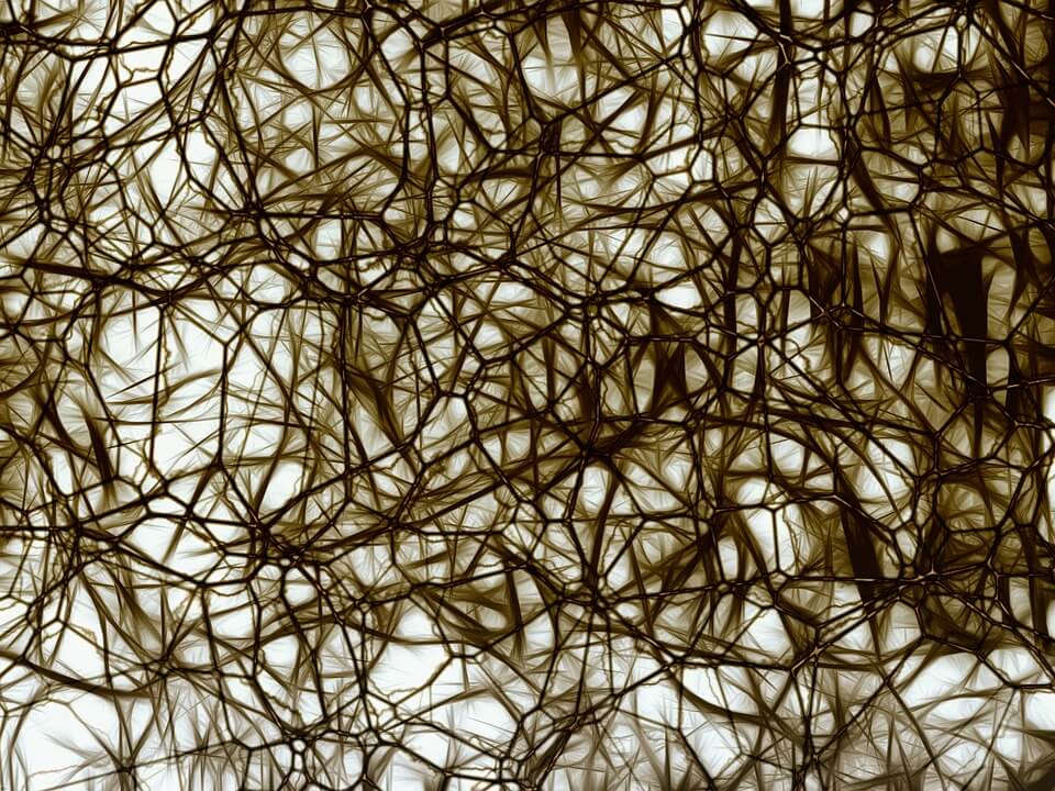 Neurons - Herrick Lipton